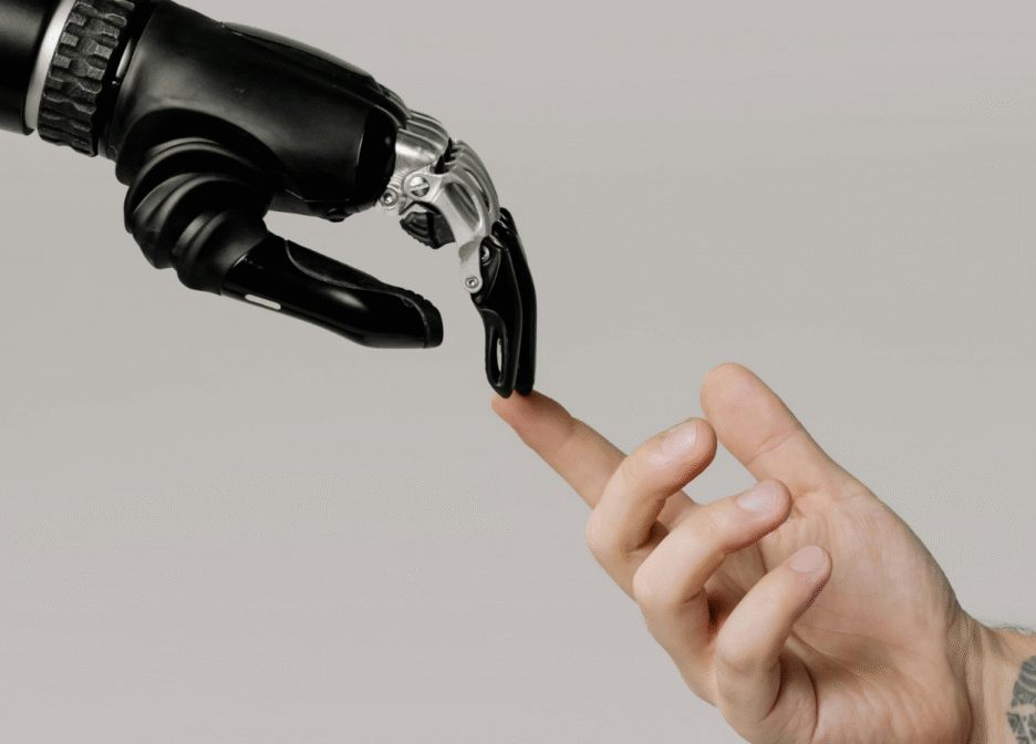 SAP Support & Maintenance